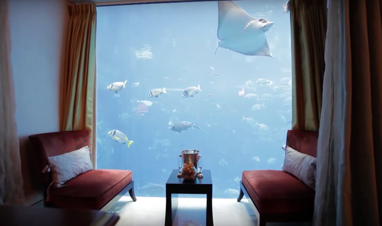 屏幕快照 2017-02-06 下午8.53.20