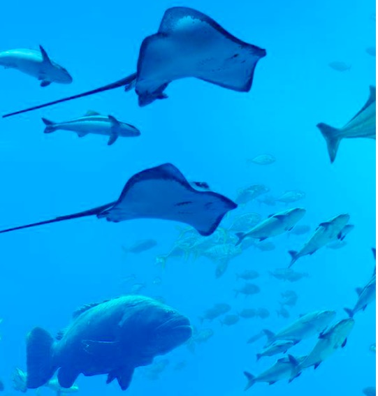 屏幕快照 2017-02-06 下午9.11.24